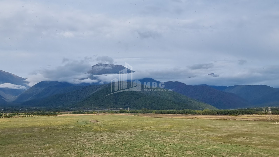 For Sale Land Eniseli Kvareli Kakheti