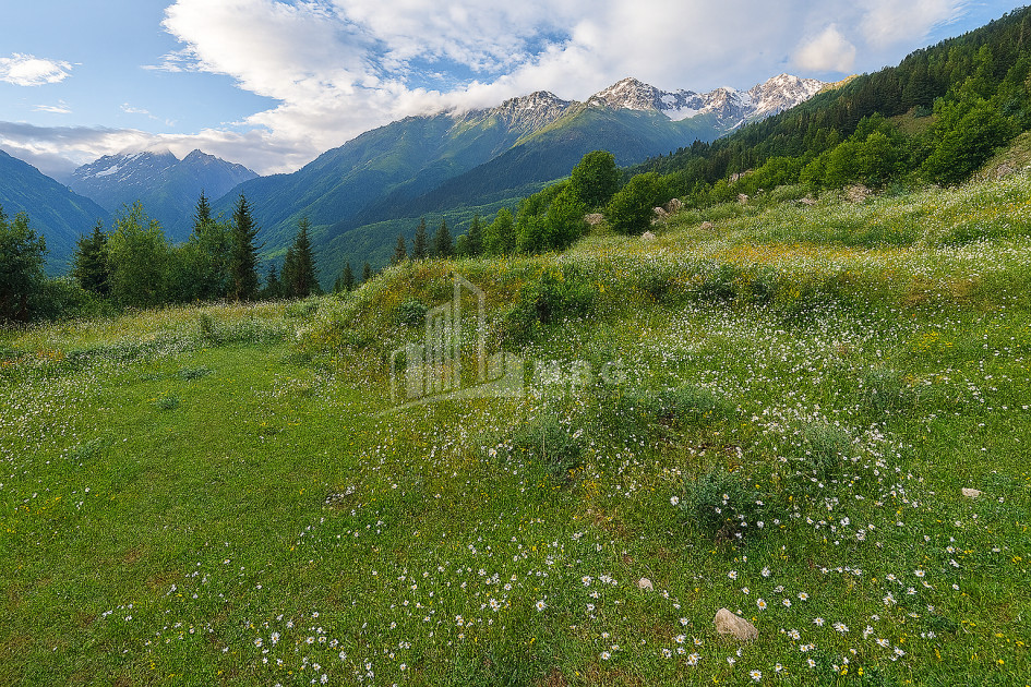 For Sale Land Mestia Samegrelo   Upper Svaneti
