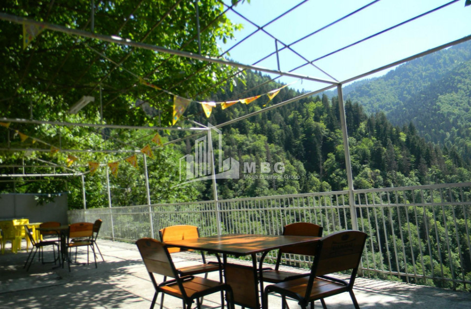 For Sale House Villa Borjomi Samtskhe   Javakheti
