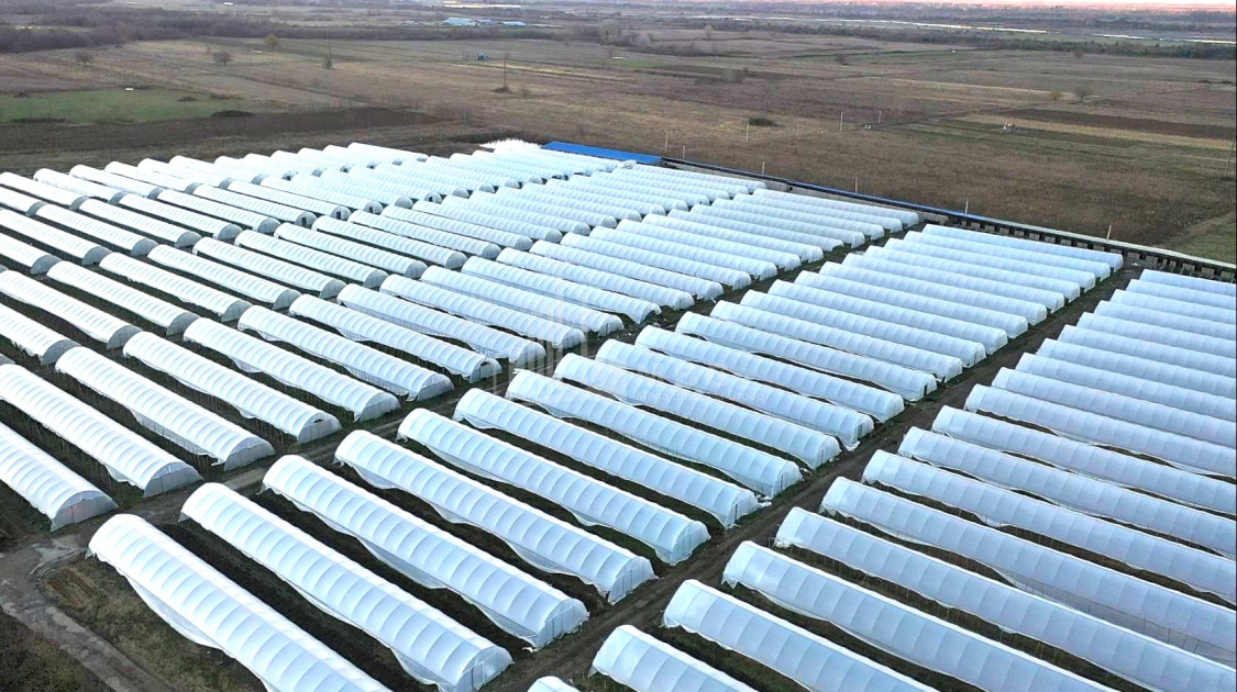 იყიდება მიწის ნაკვეთი ვანი იმერეთი