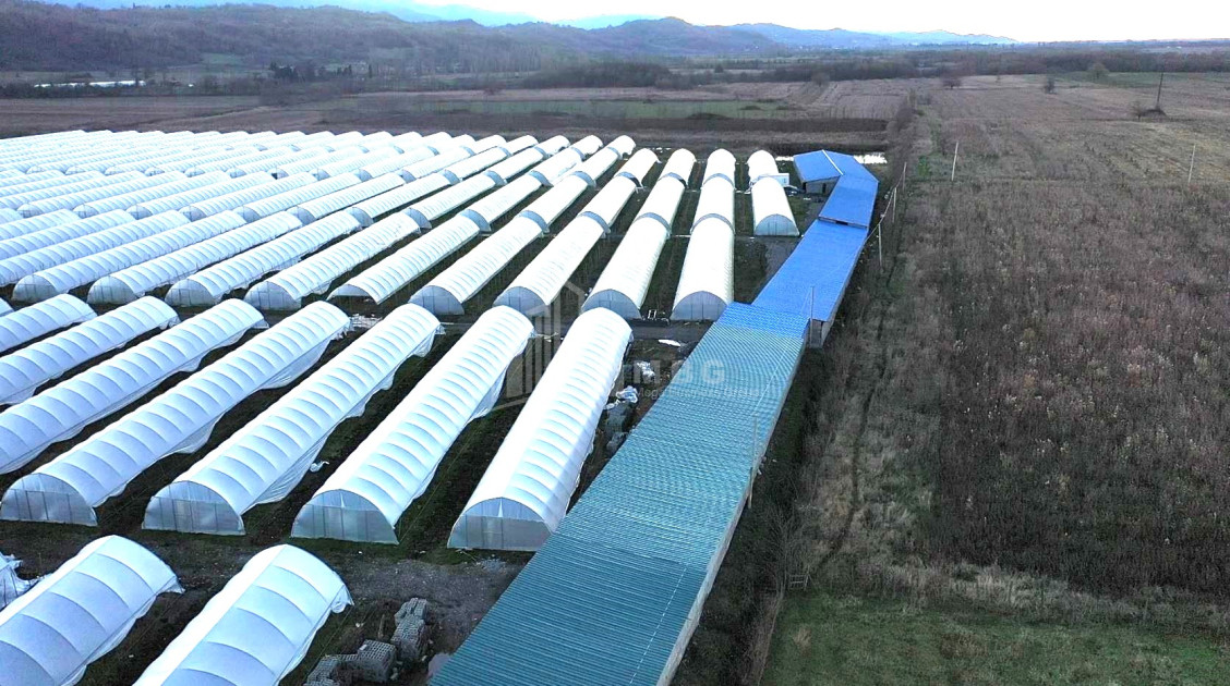 იყიდება მიწის ნაკვეთი ვანი იმერეთი