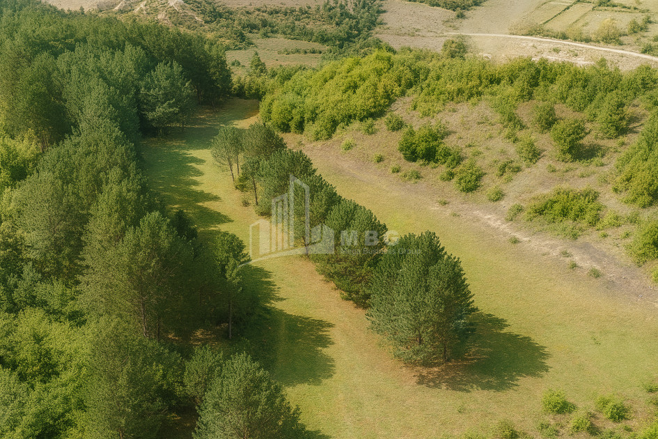 Продается Земля Городок Сурами Хашури Шида Картли