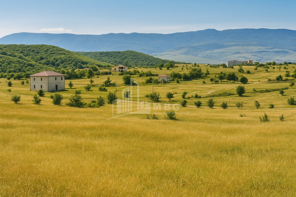 For Sale Land Akhatani Dusheti Mtskheta   Mtianeti