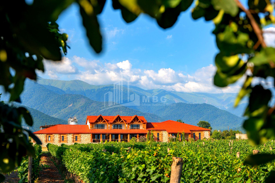 For Sale Commercial Shilda Kvareli Kakheti