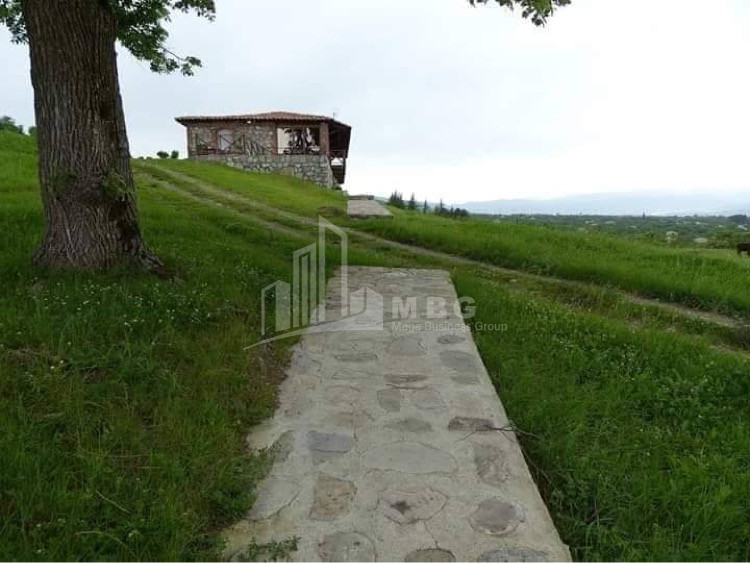 For Sale Commercial Atskuri Akhmeta Kakheti