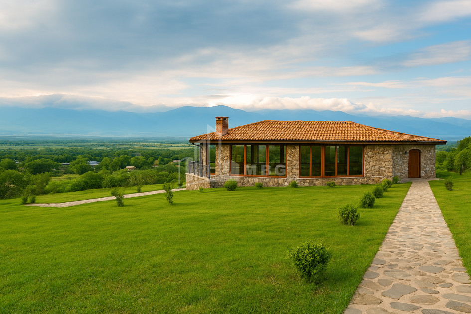 For Sale Commercial Atskuri Akhmeta Kakheti