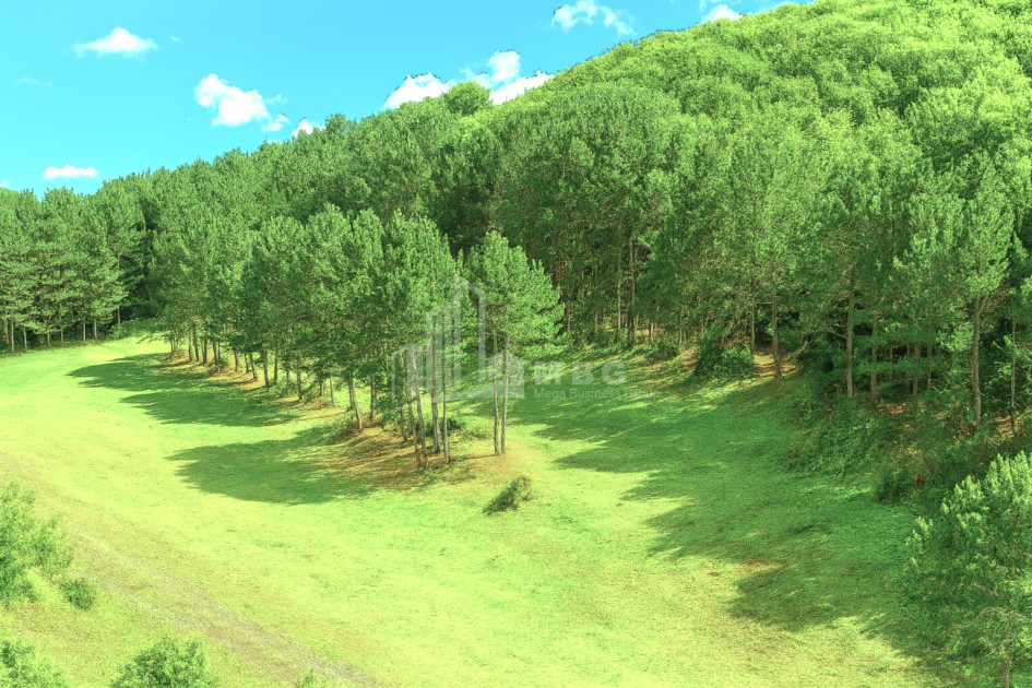 Продается Земля Городок Сурами Хашури Шида Картли