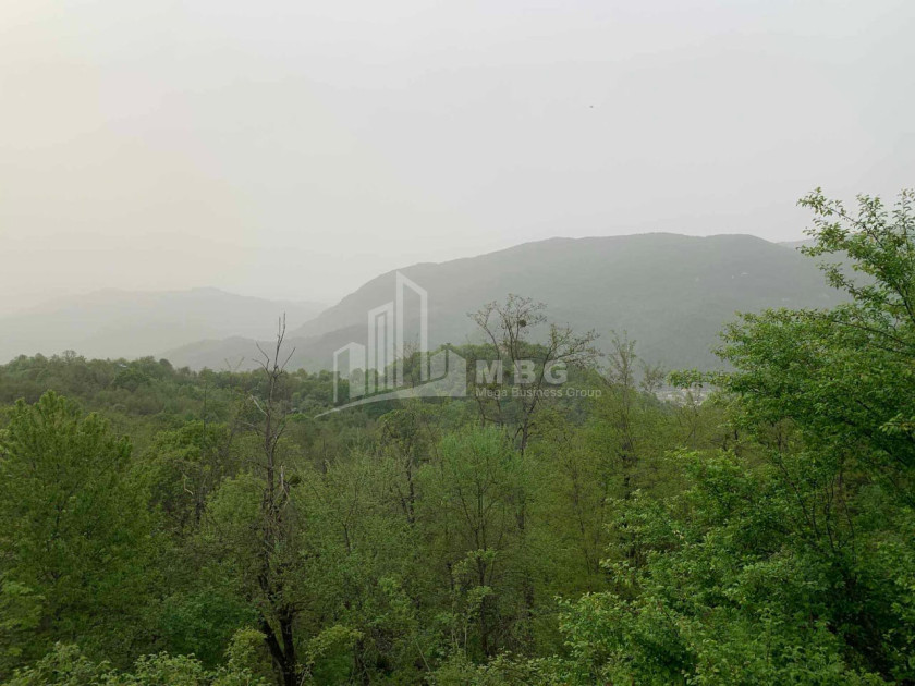 Продается Земля Иста Амбролаури Рача   Лечхуми Квемо Сванети