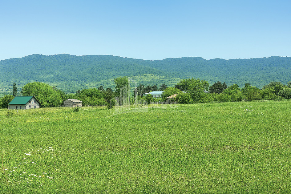 იყიდება მიწის ნაკვეთი ქვემო ნაქალაქარი თიანეთი მცხეთა   მთიანეთი