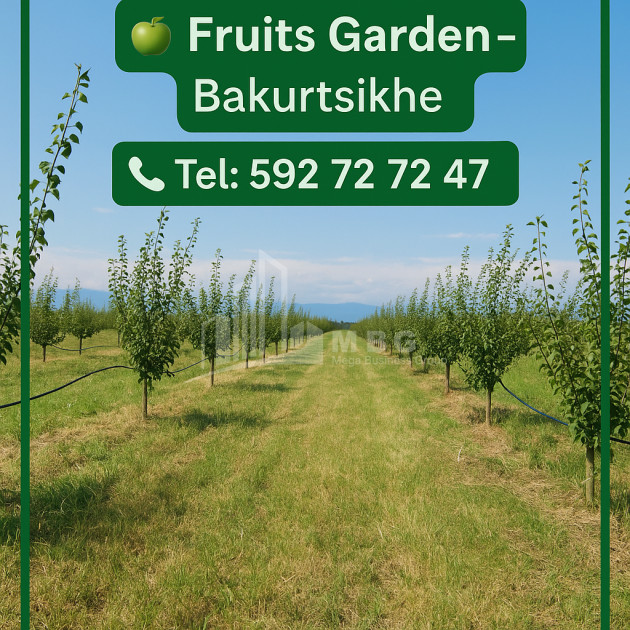 Продается Земля Бакурцихе Гурджаани Кахети