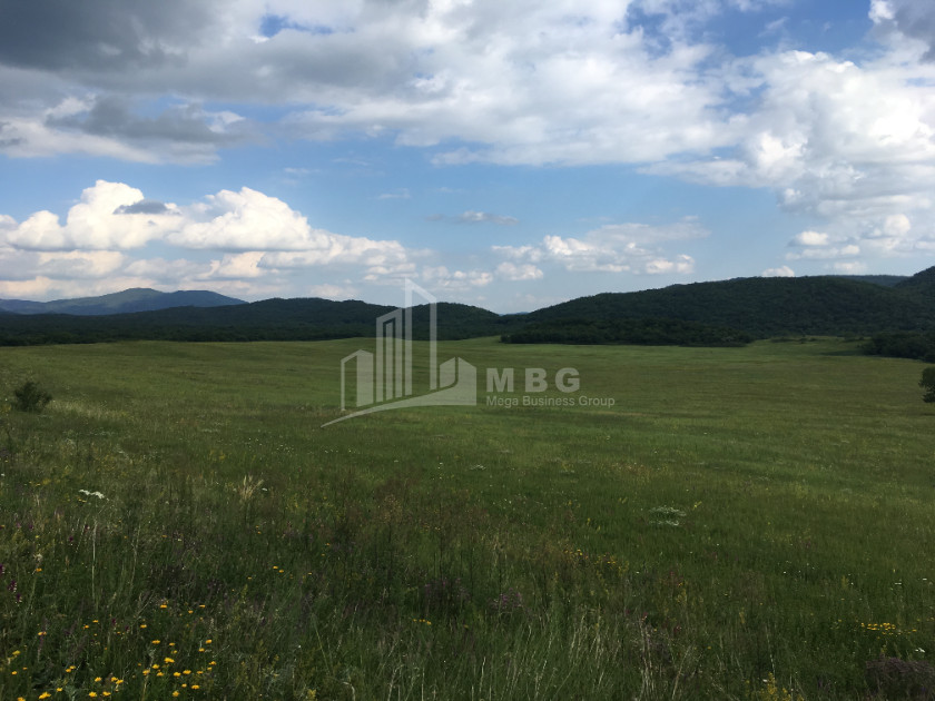 Продается Земля Гомбори Сагареджо Кахети