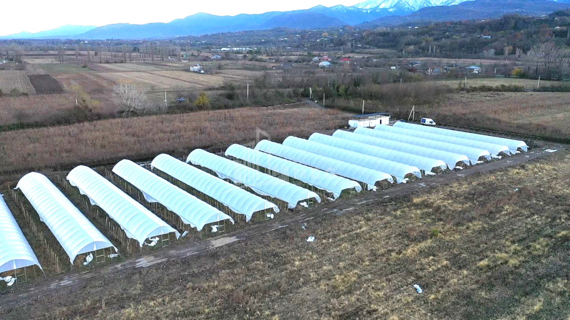 იყიდება მიწის ნაკვეთი ვანი იმერეთი