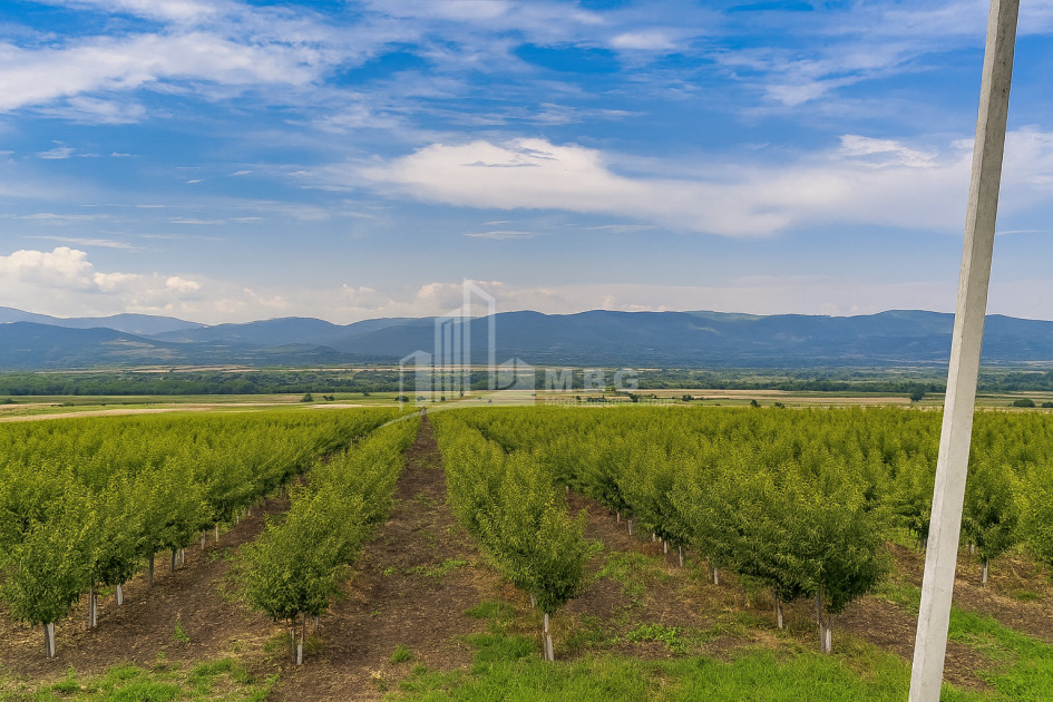 იყიდება მიწის ნაკვეთი საგარეჯო კახეთი