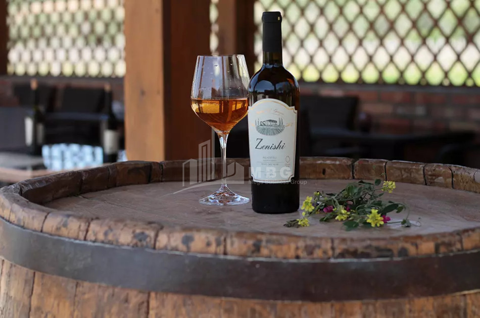 Продается Коммерческий Хашми Сагареджо Кахети