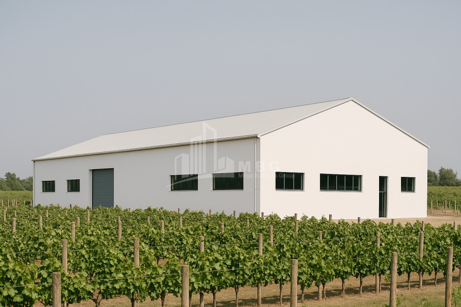 იყიდება კომერციული ფართი დოესი კასპი შიდა ქართლი