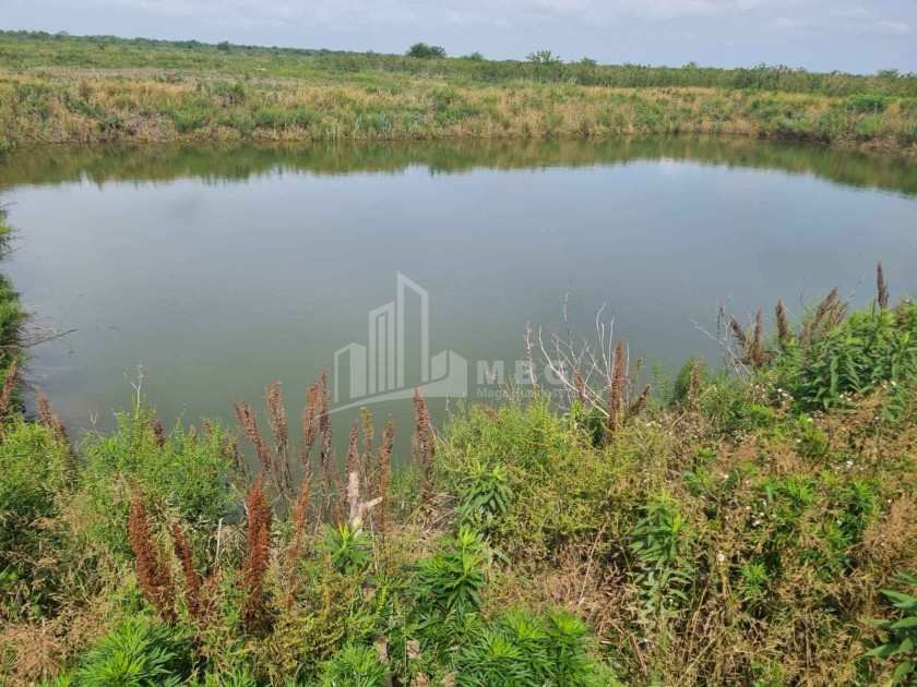 იყიდება მიწის ნაკვეთი სენაკი სამეგრელო   ზემო სვანეთი