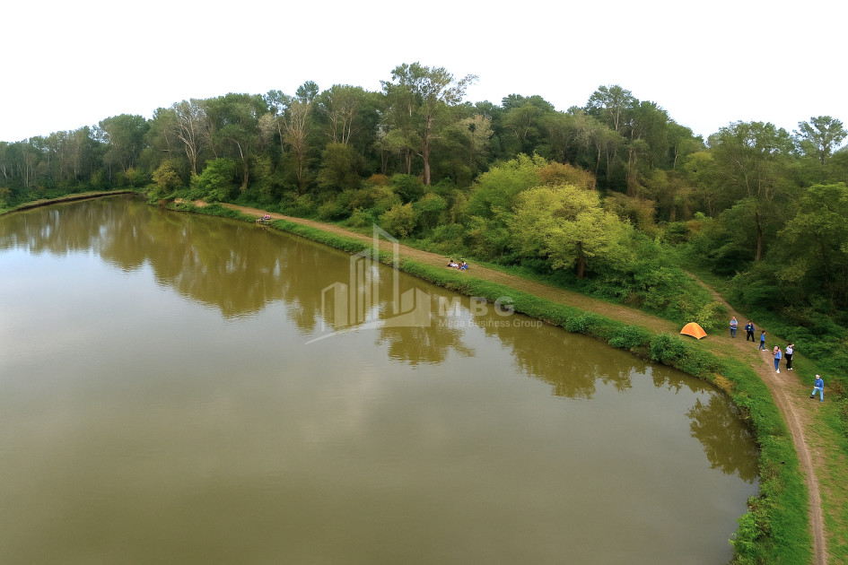 Продается Земля Кварели Кахети