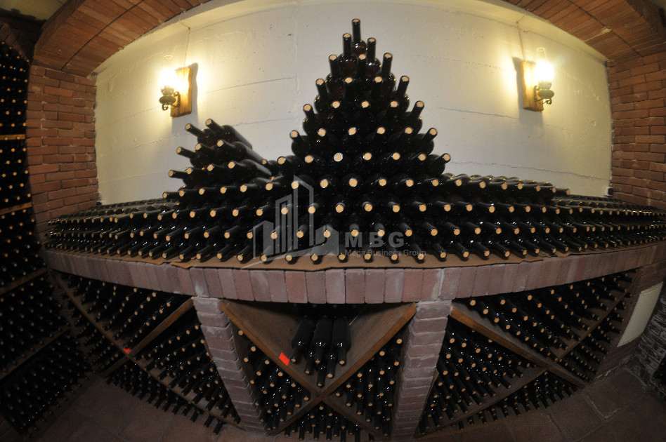 Продается Коммерческий Хашми Сагареджо Кахети