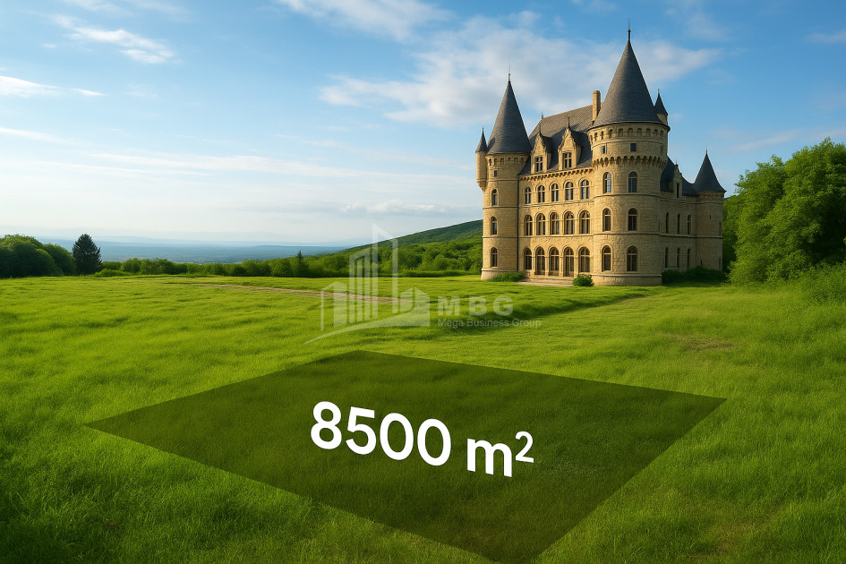 იყიდება მიწის ნაკვეთი სიღნაღი კახეთი