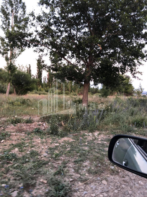 იყიდება მიწის ნაკვეთი ნასაგური სამგორის რაიონი თბილისი