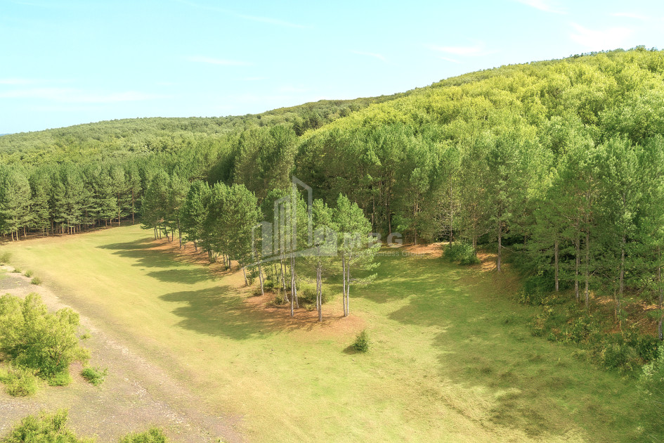 Продается Земля Городок Сурами Хашури Шида Картли