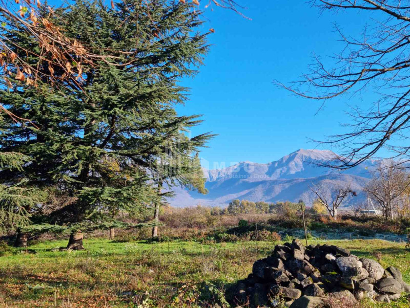 For Sale Land Eniseli Kvareli Kakheti