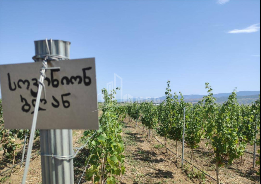 იყიდება კომერციული ფართი დოესი კასპი შიდა ქართლი