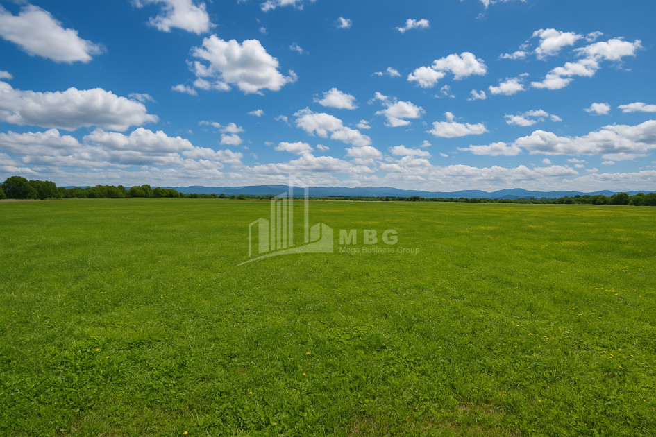 For Sale Land Vartsikhe Baghdati Imereti