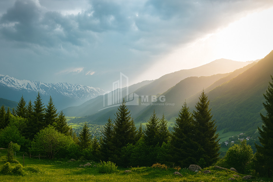 For Sale Land Mestia Samegrelo   Upper Svaneti