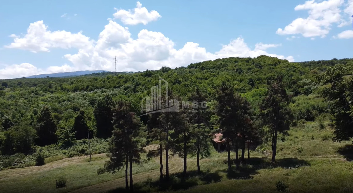 For Sale Commercial Atskuri Akhmeta Kakheti