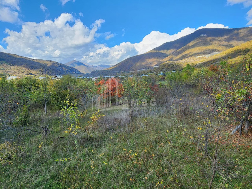 Продается Земля Деревня Чинти Душети Мцхета   Мтианети