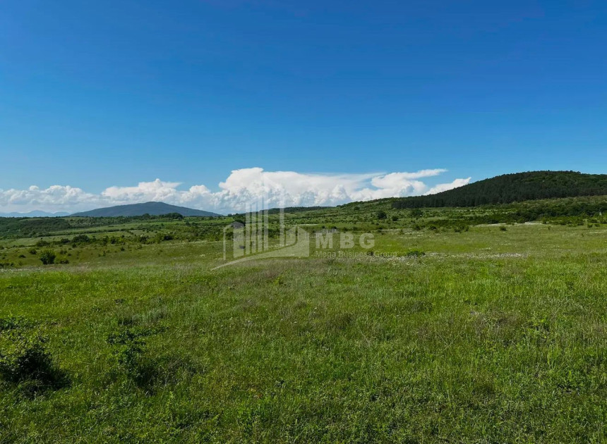For Sale Land Zakaro Mtskheta Mtskheta   Mtianeti