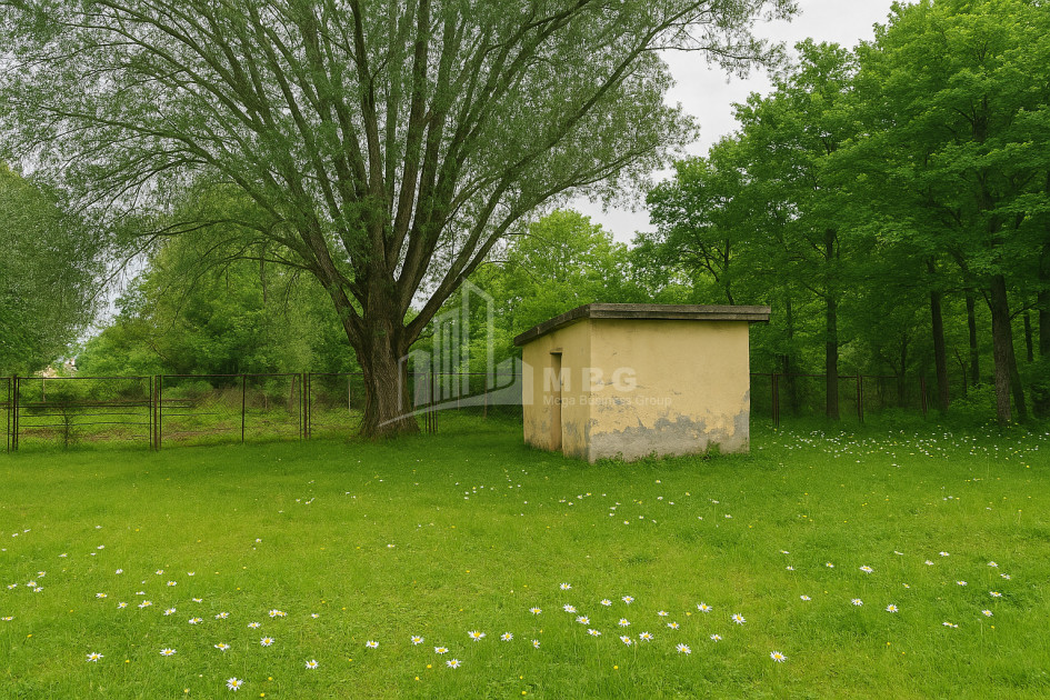 For Sale Commercial Ambrolauri Racha   Lechxumi Kvemo Svaneti