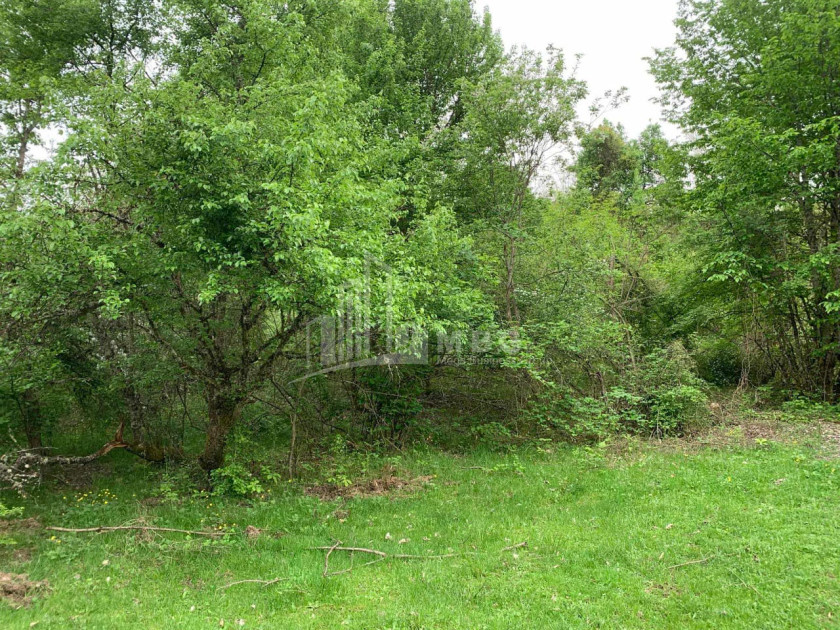 Продается Земля Иста Амбролаури Рача   Лечхуми Квемо Сванети