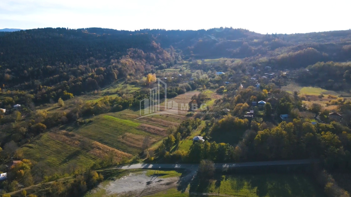 For Sale Land Nikortsminda Ambrolauri Racha   Lechxumi Kvemo Svaneti