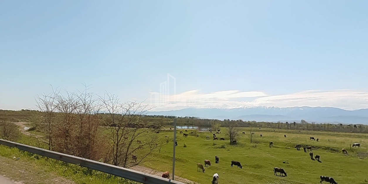 For Sale Land Kutaisi Imereti