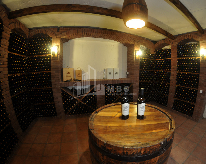 Продается Коммерческий Хашми Сагареджо Кахети