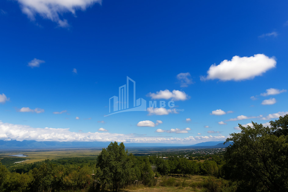 იყიდება მიწის ნაკვეთი სიღნაღი კახეთი