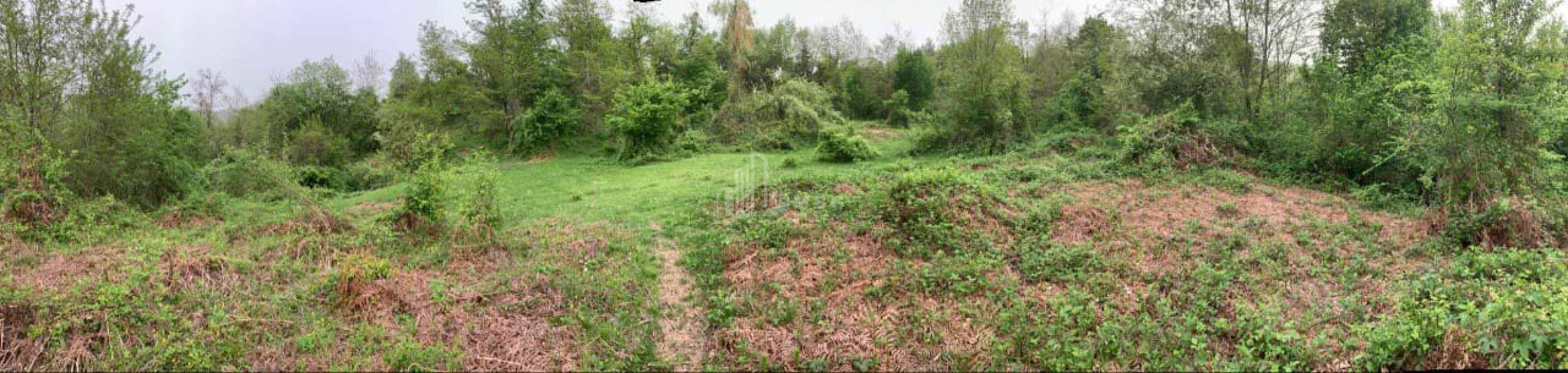 Продается Земля Иста Амбролаури Рача   Лечхуми Квемо Сванети