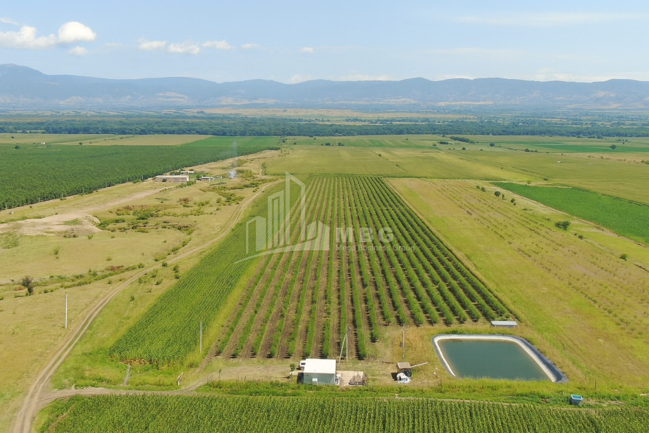 იყიდება მიწის ნაკვეთი საგარეჯო კახეთი