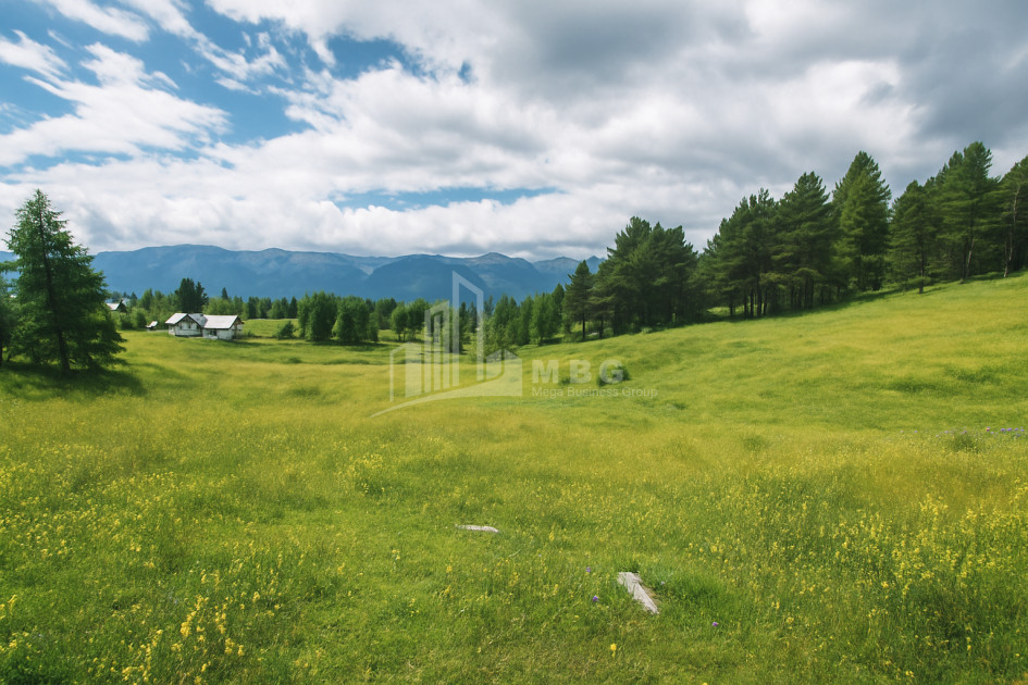 Продается Земля Абастумани Адигени Самцхе   Джавахети