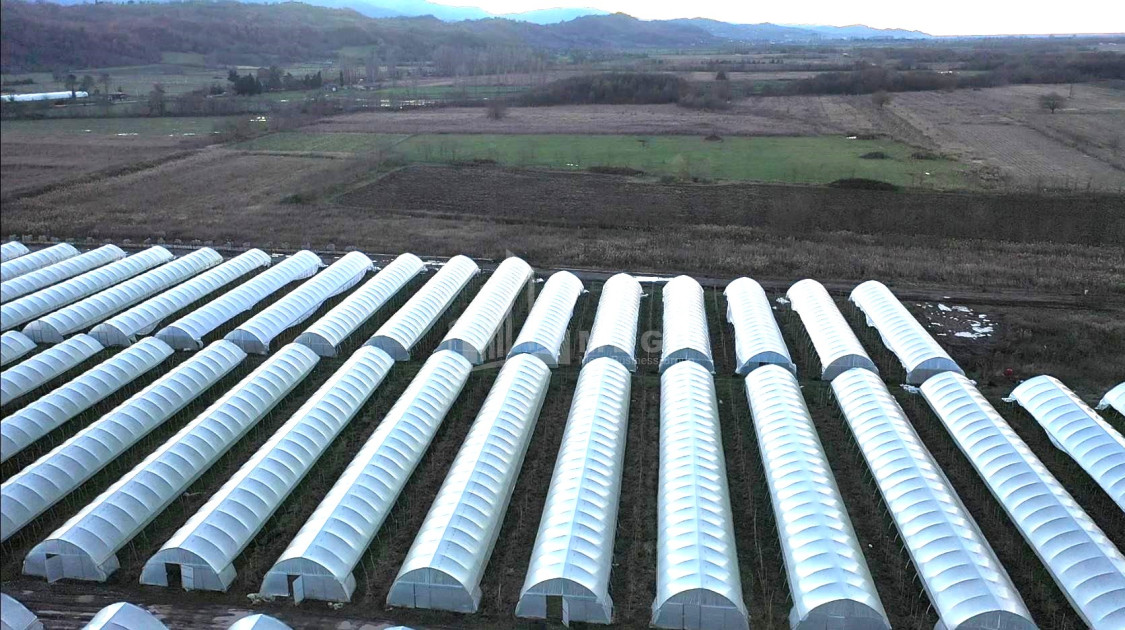 იყიდება მიწის ნაკვეთი ვანი იმერეთი