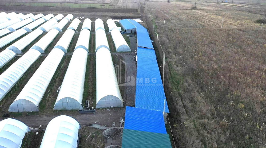 იყიდება მიწის ნაკვეთი ვანი იმერეთი