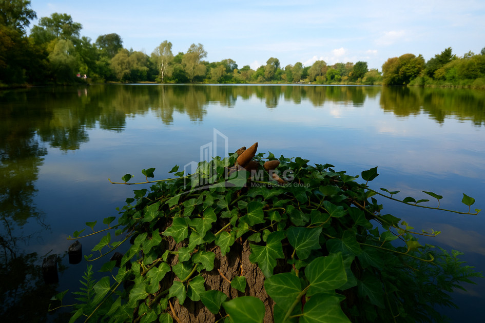 Продается Земля Кварели Кахети