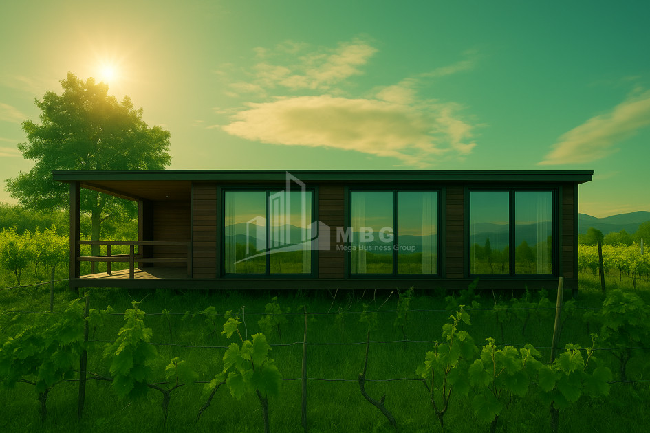 For Sale House Villa Kurdghelauri Telavi Kakheti