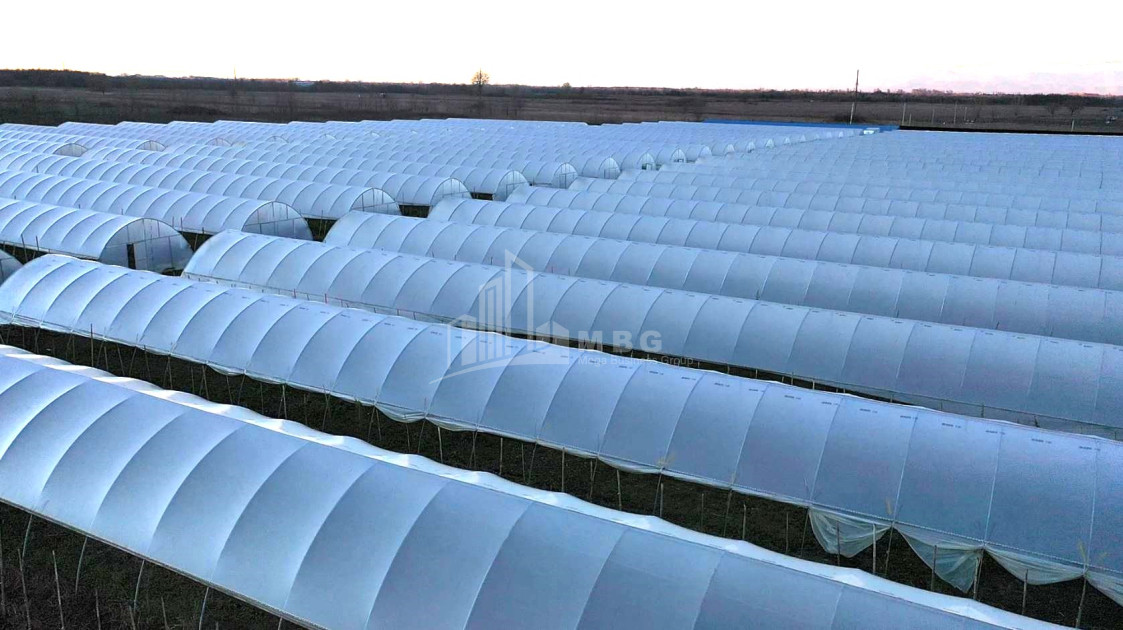 იყიდება მიწის ნაკვეთი ვანი იმერეთი