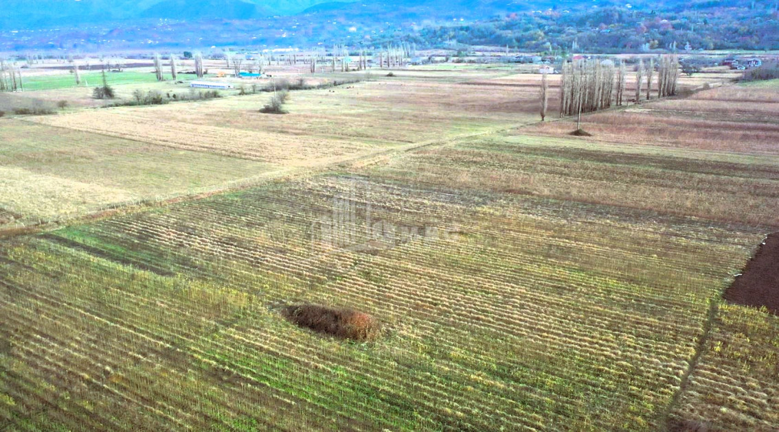 იყიდება მიწის ნაკვეთი ვანი იმერეთი