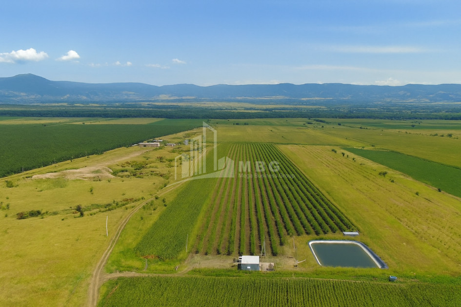 იყიდება მიწის ნაკვეთი საგარეჯო კახეთი