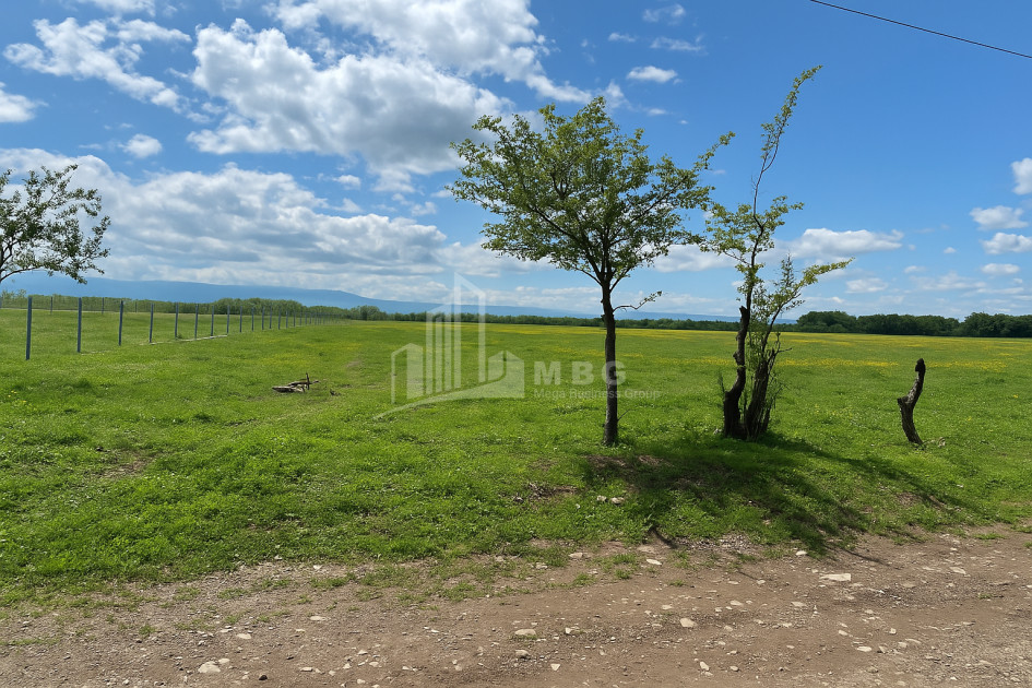 For Sale Land Vartsikhe Baghdati Imereti