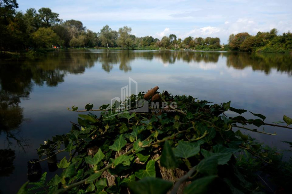 Продается Земля Кварели Кахети